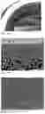 Fig. 04 - Method for preparing isoporous hollow fiber composite membranes