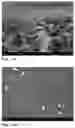 Fig. 07 - Method for preparing isoporous hollow fiber composite membranes