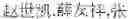 Fig. 02 - Thin metal/ceramic hybrid membrane sheet and filter