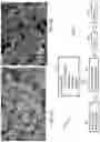 Fig. 09 - Thin metal/ceramic hybrid membrane sheet and filter