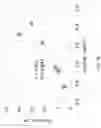 Fig. 21 - Thin metal/ceramic hybrid membrane sheet and filter