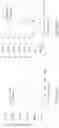Fig. 25 - Thin metal/ceramic hybrid membrane sheet and filter