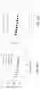Fig. 29 - Thin metal/ceramic hybrid membrane sheet and filter