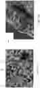 Fig. 33 - Thin metal/ceramic hybrid membrane sheet and filter
