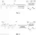 Fig. 02 - Salt tolerant porous medium