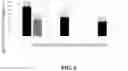 Fig. 06 - Salt tolerant porous medium