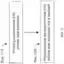 Fig. 14 - Microporous polyamide-imide membranes