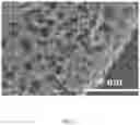 Fig. 03 - PdIn alloy catalyst, method for manufacturing PdIn alloy catalyst and application thereof