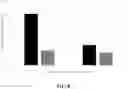 Fig. 08 - Salt tolerant anion exchange medium