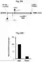 Fig. 20 - Low elasticity films for microfluidic use