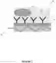 Fig. 03 - Microfluidic device with integrated waveguides for analyte identification and method of operation thereof