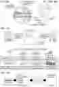 Fig. 03 - PROCESSING SYSTEMS FOR ISOLATING AND ENUMERATING CELLS OR PARTICLES