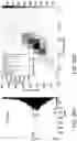 Fig. 41 - PROCESSING SYSTEMS FOR ISOLATING AND ENUMERATING CELLS OR PARTICLES