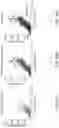 Fig. 44 - PROCESSING SYSTEMS FOR ISOLATING AND ENUMERATING CELLS OR PARTICLES