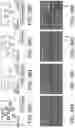 Fig. 50 - PROCESSING SYSTEMS FOR ISOLATING AND ENUMERATING CELLS OR PARTICLES