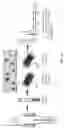 Fig. 02 - Engineered nano-interfaces for microfluidic isolation of extracellular vesicles