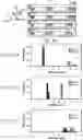 Fig. 24 - DEVICE AND METHOD FOR PRESSURE-DRIVEN PLUG TRANSPORT AND REACTION