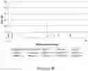 Fig. 16 - METHODS FOR RAPID MULTIPLEXED AMPLIFICATION OF TARGET NUCLEIC ACIDS