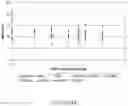 Fig. 17 - METHODS FOR RAPID MULTIPLEXED AMPLIFICATION OF TARGET NUCLEIC ACIDS