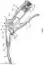 Fig. 02 - BLOW GUN