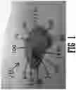Fig. 02 - Ergonomic handle scraper