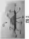 Fig. 03 - Ergonomic handle scraper