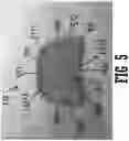 Fig. 06 - Ergonomic handle scraper