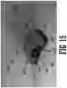 Fig. 16 - Ergonomic handle scraper