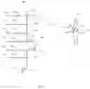 Fig. 08 - METHOD AND SYSTEM OF REMOVING DEBRIS FROM PIPING IN A HIGH-RISE BUILDING PLUMBING NETWORK