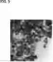 Fig. 04 - MAGNETIC POWDER AND MAGNET