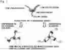 Fig. 02 - Fine metal particles, dispersion solution containing fine metal particles, and process for the production thereof