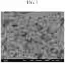 Fig. 02 - FINE COPPER PARTICLES, METHOD FOR PRODUCING FINE COPPER PARTICLES AND METHOD FOR PRODUCING SINTERED BODY