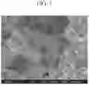 Fig. 05 - FINE COPPER PARTICLES, METHOD FOR PRODUCING FINE COPPER PARTICLES AND METHOD FOR PRODUCING SINTERED BODY