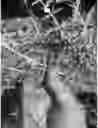 Fig. 07 - ERGONOMIC CUTTING TOOL