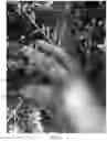 Fig. 08 - ERGONOMIC CUTTING TOOL