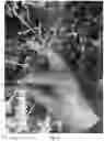 Fig. 09 - ERGONOMIC CUTTING TOOL
