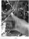 Fig. 10 - ERGONOMIC CUTTING TOOL