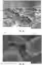 Fig. 04 - LASER-INDUCED ANTI-CORROSION MICRO-ANCHOR STRUCTURAL LAYER FOR METAL-POLYMERIC COMPOSITE JOINT AND METHODS OF MANUFACTURING THEREOF