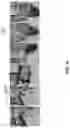Fig. 11 - Multidirectional locomotive module with omnidirectional bending