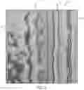 Fig. 08 - Wood-grained polymer substrate