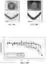 Fig. 07 - 3D printed core-shell filament and method of 3D printing a core-shell filament