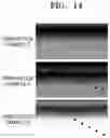 Fig. 12 - METHOD OF PRODUCING NANOPARTICLE DEVICE USING PRINT-ON HYDROGEL