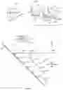 Fig. 02 - Methods and apparatus for fabrication with a movable sheet