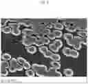Fig. 04 - Process for nanostructuring carbon fibers embedded in FRPS based on the use of sulphur in combination with aromatic hydrocarbon groups and on the use of laser radiation