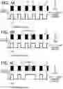 Fig. 05 - Printer and method for preventing erroneous interruption of printing