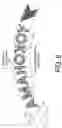 Fig. 07 - Pneumatic tire, pneumatic-tire mold, two-dimensional-code engraved-mark testing method, and pneumatic-tire manufacturing method