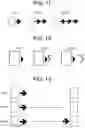 Fig. 11 - Irradiation control device and irradiation method
