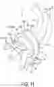Fig. 12 - Wire routing structure