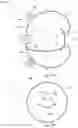 Fig. 04 - Airbag device