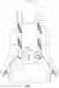 Fig. 08 - Webbing-buckling device of a multi-point seat belt system